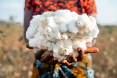 Football boost for African cotton producers