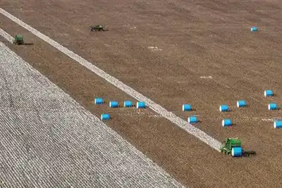 Brazil report asks tough questions of Better Cotton