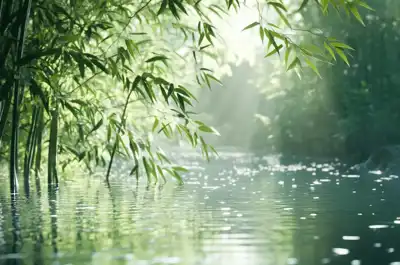 Clariant now PFAS-free