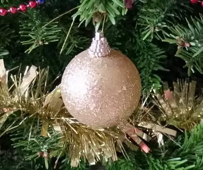 Happy Christmas to all our readers
