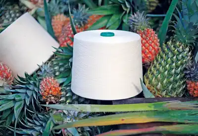 Ananas fibre launch