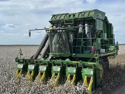 Signs for the new crop are good, Cotton Australia says