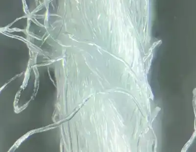 Fashion brands partner for fresh microfibre research