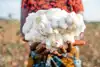 Half a million new textile jobs for Africa
