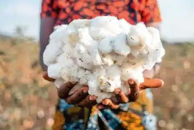 Half a million new textile jobs for Africa