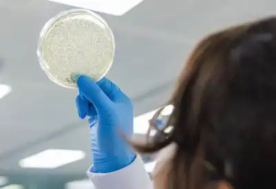 Former Invista CTO backs Epoch’s plastic-eating enzymes