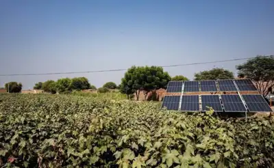 M&S invests in solar project for Indian farmers