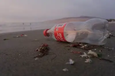 FENC and Coca-Cola team up for chemical recycling of PET