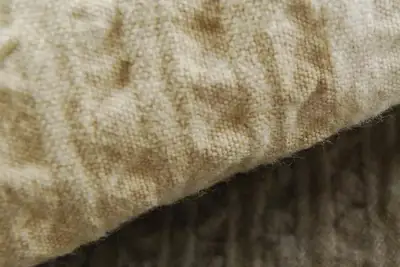 Farm to Fasion - Cotton's responsible use of water & chemicals