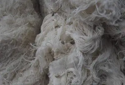 Säntis: 'step change' in recycled fibre demand
