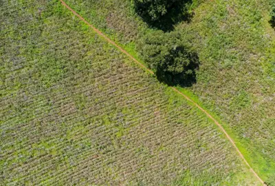 Better Cotton appeals to US body to not rely on LCAs