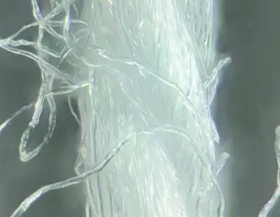 Fashion brands partner for fresh microfibre research