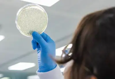 Former Invista CTO backs Epoch’s plastic-eating enzymes