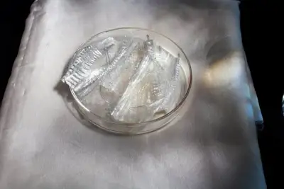 ER Ocean Recherche presents new marine-derived fibre
