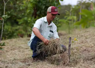 Eastman partners NGO to help restore Brazil’s Atlantic Forest