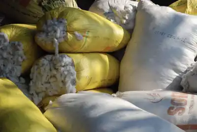 Cotton Diaries appeals for more realistic mapping that values the gin