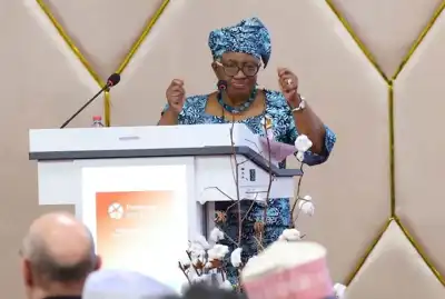 Africa’s cotton industry is “on the cusp”, WTO director-general says