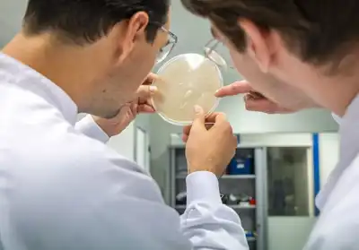 Novel protein fibre awarded €1.4 million to scale