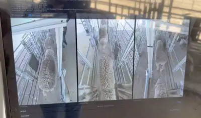 CSIRO develops smart imaging system for wool growers