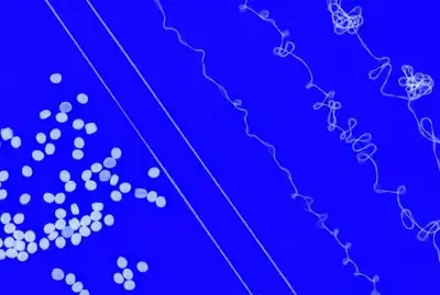 MIT engineers design recyclable elastic yarn