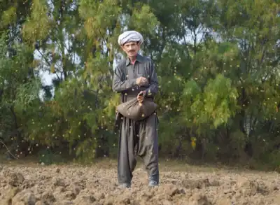 OCA project advances seed availability in Pakistan