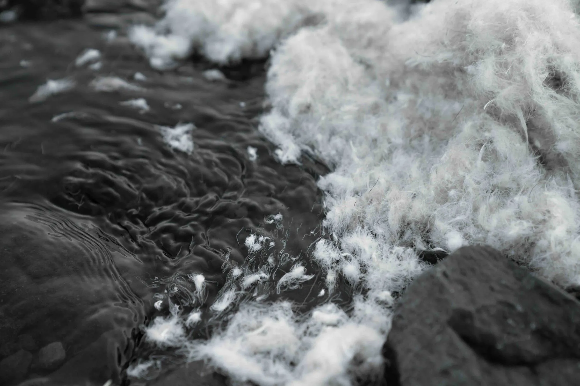 ALLIED Feather + Down adds to traceability platform